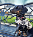Load image into Gallery viewer, Sausage Dog Box Designer Fleece Waterproof 'Dog Tooth' Dachshund Coat