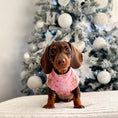 Load image into Gallery viewer, Pink Dachshund Christmas Second Skin Tee - ‘Dashin’ Through The Dough’