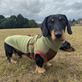 Load image into Gallery viewer, Pistachio Waterproof Dachshund Harness Fleece | DoxieDri by Sausage Dog Box
