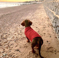 Load image into Gallery viewer, Sausage Dog Box Cosy Burgundy Cable Knit Dachshund Jumper