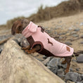 Load image into Gallery viewer, Strawberry Truffle DoxieDri Sausage Dog Harness Jumper