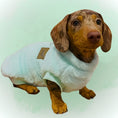 Load image into Gallery viewer, XXS Tiny Puppy Snuggle Dachshund Fleece - 20cm / 8inch Back | Sausage Dog Box