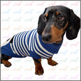 Load image into Gallery viewer, CLEARANCE - Sausage Dog Box Dachshund Panda Jumper