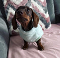 Load image into Gallery viewer, Frosty Mint Green Dachshund Snuggle Fleece - Sausage Dog Box Jumper