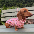 Load image into Gallery viewer, Pink Sophisticated Sausage Long Dog Zipper Dachshund Fleece Jumper / Sweater
