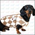 Load image into Gallery viewer, CLEARANCE - Sausage Dog Box Dachshund Teddy Bear Waistcoat - Brown