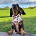 Load image into Gallery viewer, Beige Sophisticated Sausage Dachshund Anti-Rub Dog Harness