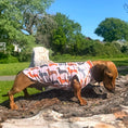 Load image into Gallery viewer, Beige Sausage Dog DoxieCool Dachshund Cooling Tee +30 Sun Protection Dog Vest