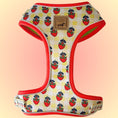 Load image into Gallery viewer, Strawberries & Weens Anti-Rub Dachshund Harness