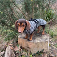 Load image into Gallery viewer, Sausage Dog Box Perfect Fit Dachshund Coat - Houndstooth
