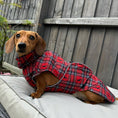 Load image into Gallery viewer, Sausage Dog Box Perfect Fit Dachshund Coat - Tart’n Up