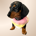 Load image into Gallery viewer, Pink & Yellow ‘Flutter By Heart’ Sausage Dog Box Puppy Pj Jumper