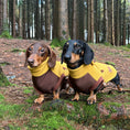 Load image into Gallery viewer, Golden Acorn Waterproof Dachshund Harness Fleece | Sausage Dog Box DoxieDri