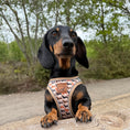 Load image into Gallery viewer, Doxie StepMag Step-in Magnetic Dachshund Harness - Sophisticated Sausage