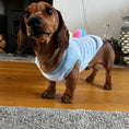 Load image into Gallery viewer, Blue Ice Cream Sundae - Sausage Dog Box Dachshund PJ's/Jumper