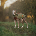 Load image into Gallery viewer, Pistachio PupDri Zip Back Dog Fleece Harness Jumper | Hound Outfitters