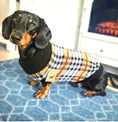Load image into Gallery viewer, Sausage Dog Box Dachshund Chequered Jumper