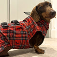Load image into Gallery viewer, Sausage Dog Box Perfect Fit Dachshund Coat - Tart’n Up