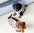 Load image into Gallery viewer, Sausage Dog Box, Dachshund Leopard Cute Cosy Dachshund PJ's Jumper