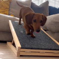 Load image into Gallery viewer, Sausage Dog Box Standard Dachshund Ramp - Adjustable