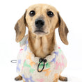 Load image into Gallery viewer, Daisy Balloon Thermal Dachshund Puffer Jacket Sausage Dog Harness Coat