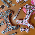 Load image into Gallery viewer, Pink Cow Adjustable Dachshund Dog Collar - Sausage Dog Box