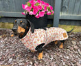 Load image into Gallery viewer, Warm Waterproof Dachshund Coat - Saucy Sausage Raincoat In Hot Dog Design