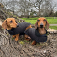 Load image into Gallery viewer, Black Cougar Sherpa Lined Dachshund Dog Coat / Parker Jacket For Sausage Dogs