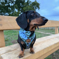 Load image into Gallery viewer, Blue Highland Argyle Dachshund Dog Harness