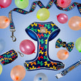 Load image into Gallery viewer, Navy Balloon Dog Adjustable Dachshund Collar - Sausage Dog Box