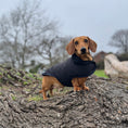 Load image into Gallery viewer, Black Cougar Sherpa Lined Dachshund Dog Coat / Parker Jacket For Sausage Dogs