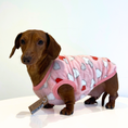 Load image into Gallery viewer, Pink Mini Love Hearts - Sausage Dog Box Dachshund PJ's/Jumper