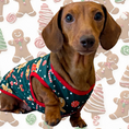 Load image into Gallery viewer, Sausage Dog Box Christmas Gingerbread Tee