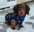 Load image into Gallery viewer, Sausage Dog Box Dachshund Navy Print Fleece Puffer Coat