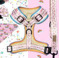 Load image into Gallery viewer, Anti-Rub Harness Designed For Dachshunds - Chasing Rainbows