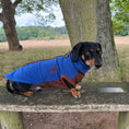 Load image into Gallery viewer, Azure Blue Waterproof Dachshund Harness Fleece | DoxieDri Jumper