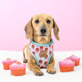 Load image into Gallery viewer, A Dach Of Sweetness Anti-Rub Dachshund Harness - Sausage Dog Box