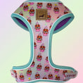 Load image into Gallery viewer, A Dach Of Sweetness Anti-Rub Dachshund Harness - Sausage Dog Box