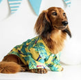 Load image into Gallery viewer, CLEARANCE - Sausage Dog Box Dachshund Hawaiian Shirt - Toucan