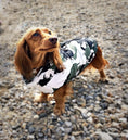 Load image into Gallery viewer, CLEARANCE - Sausage Dog Box Waterproof Step In Puffer Coat - Khaki Print