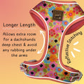 Load image into Gallery viewer, It's All Groovy Anti-Rub Dachshund Harness