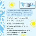 Load image into Gallery viewer, I LOVE BALLS DoxieCool Dachshund Cooling Tee Vest +30 Protection