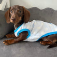 Load image into Gallery viewer, Blue ‘Chrip Birdy’ Sausage Dog Box Puppy Pj Jumper