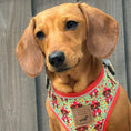Load image into Gallery viewer, Shroom Dog Anti-Rub Sausage Dog Harness