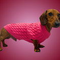 Load image into Gallery viewer, Raspberry Ripple Luxury Cable Knit Dachshund Jumper - Sausage Dog Box