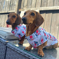 Load image into Gallery viewer, Nautical Sandy Sausage DoxieCool Dachshund Cooling Vest For Dachshund Dogs