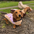 Load image into Gallery viewer, Pink Sophisticated Sausage Sherpa Fleece Dachshund Dog Parker Jacket
