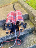 Load image into Gallery viewer, Dachshund Coat Reversible Plaid Red Sausage Dog Jacket