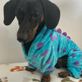 Load image into Gallery viewer, Dachshund Outfit - Little Monster