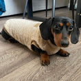 Load image into Gallery viewer, XXS Tiny Puppy Snuggle Dachshund Fleece - 20cm / 8inch Back | Sausage Dog Box